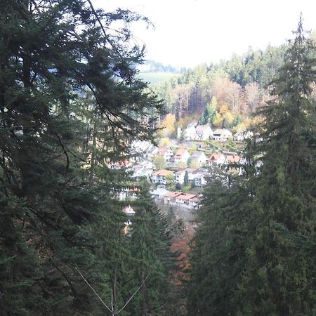 Relaxapartments Black Forest Diamond Direkt An Der Hornberger Freilichtbuehne - Sonnenterrasse Mit Blick Auf Das Hornberger Schloss, Schnelles Internet, Fuer Bis Zu 2 Personen ภายนอก รูปภาพ
