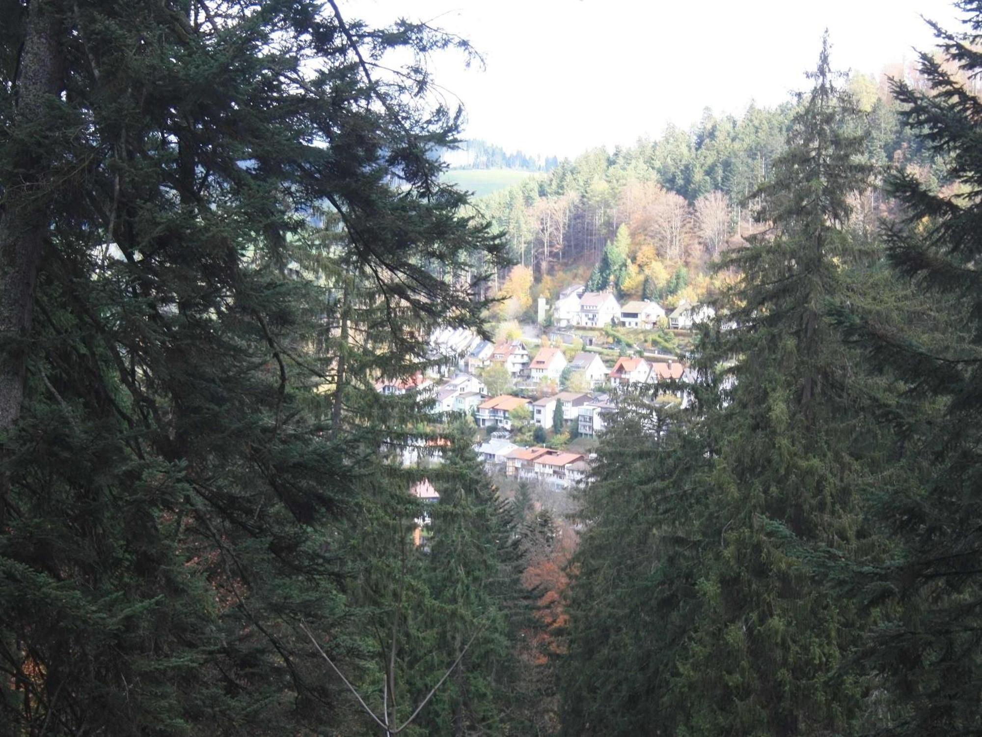 Relaxapartments Black Forest Diamond Direkt An Der Hornberger Freilichtbuehne - Sonnenterrasse Mit Blick Auf Das Hornberger Schloss, Schnelles Internet, Fuer Bis Zu 2 Personen ภายนอก รูปภาพ