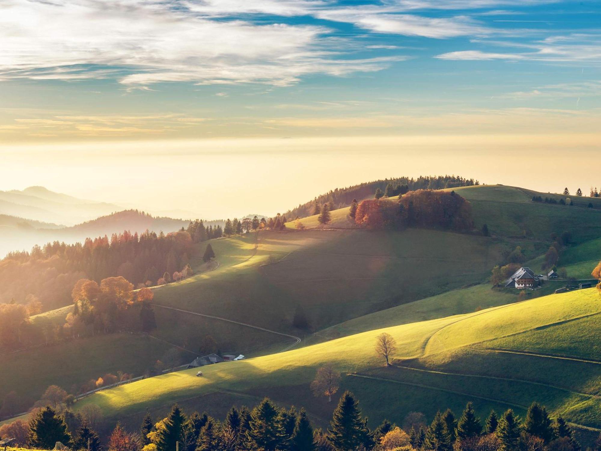 Relaxapartments Black Forest Diamond Direkt An Der Hornberger Freilichtbuehne - Sonnenterrasse Mit Blick Auf Das Hornberger Schloss, Schnelles Internet, Fuer Bis Zu 2 Personen ภายนอก รูปภาพ