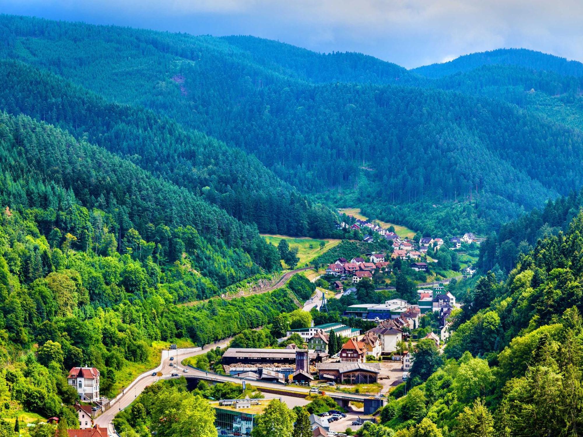 Relaxapartments Black Forest Diamond Direkt An Der Hornberger Freilichtbuehne - Sonnenterrasse Mit Blick Auf Das Hornberger Schloss, Schnelles Internet, Fuer Bis Zu 2 Personen ภายนอก รูปภาพ