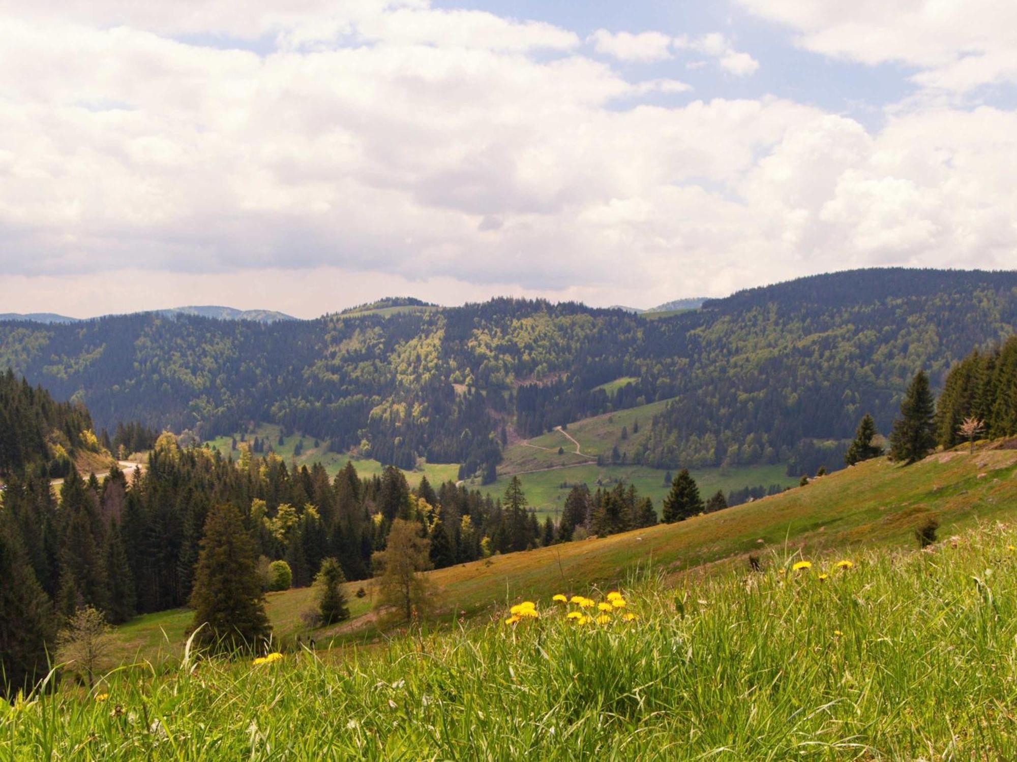 Relaxapartments Black Forest Diamond Direkt An Der Hornberger Freilichtbuehne - Sonnenterrasse Mit Blick Auf Das Hornberger Schloss, Schnelles Internet, Fuer Bis Zu 2 Personen ภายนอก รูปภาพ